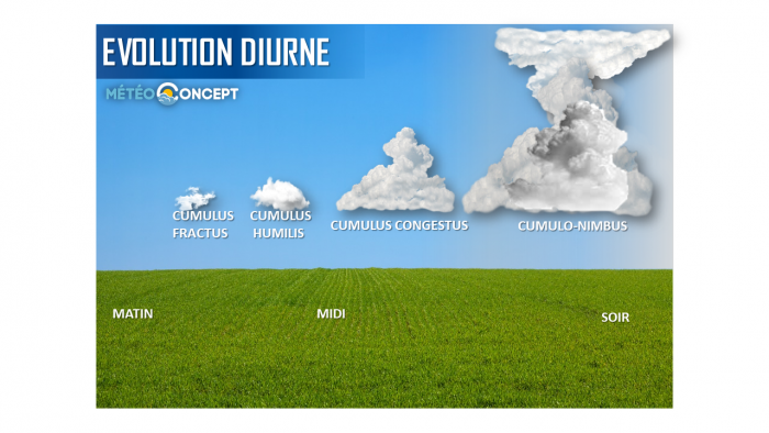 Illustration de l'actualité Qu'est-ce que l'évolution diurne?