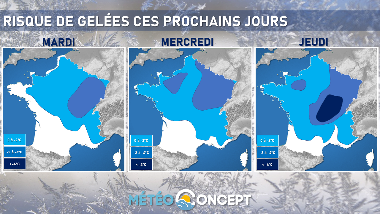 Illustration de l'actualité Des gelées sur de nombreuses régions au cours des prochains jours