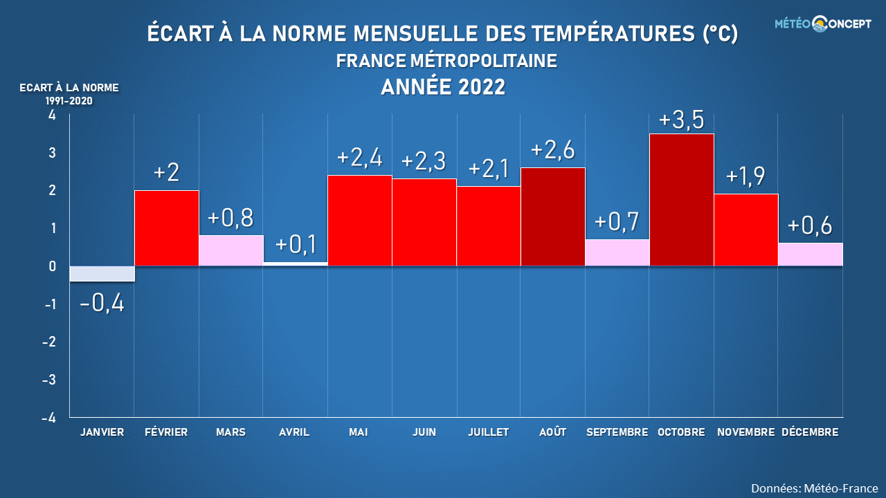 Image sans légende